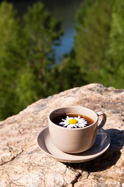 Tea with chamomile on old big stone. — Stock Photo, Image