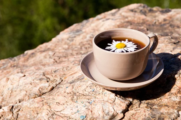 Tea with chamomile on old big stone. — Stock Photo, Image