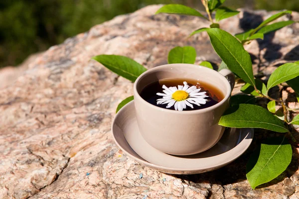 Tea with chamomile on old big stone. — Stock Photo, Image