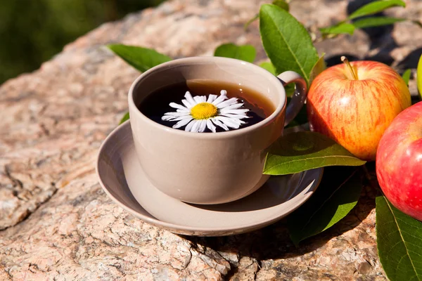 Tea with chamomile and apples on stone — Stock Photo, Image