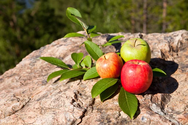 Büyük taş üzerinde taze elma — Stok fotoğraf