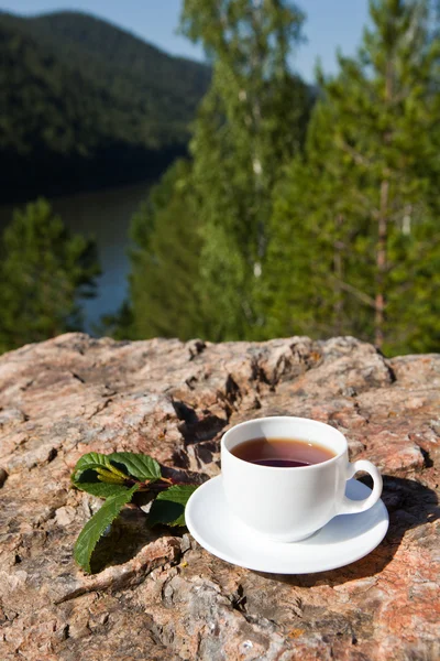 Cup on big stone — Stock Photo, Image