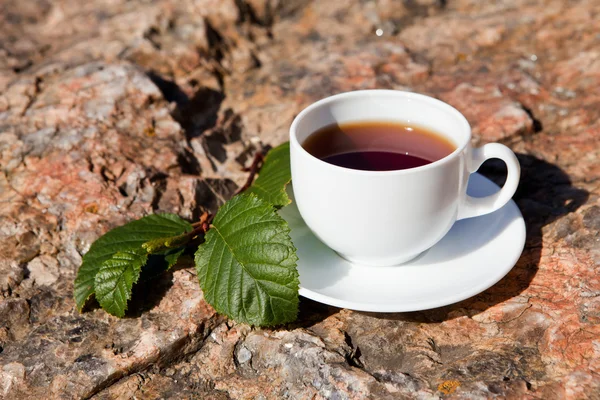 Cup on big stone — Stock Photo, Image