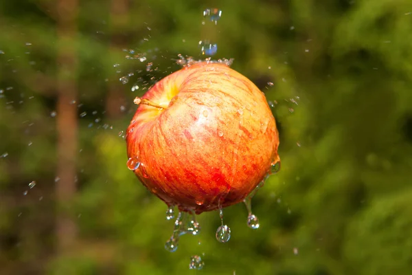 水の飛散と新鮮なリンゴ — ストック写真