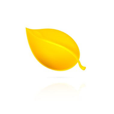 Beyaz arkaplanda sarı yaprak