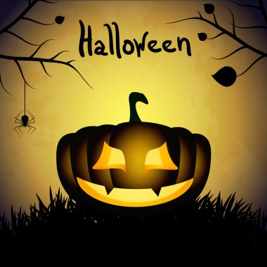 Halloween pumpkins ve örümcek arka plan.