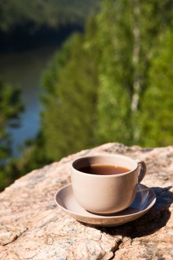 Cup op grote steen over natuur achtergrond