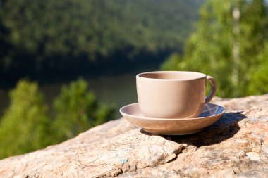 Cup op grote steen over natuur achtergrond