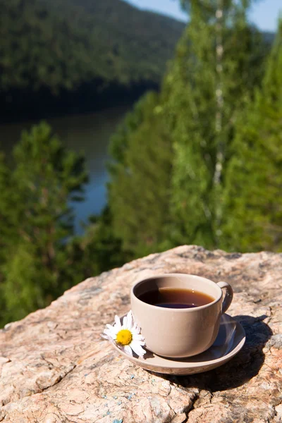 Cup on big stone over nature background — Stock Photo, Image