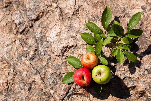 Fresh apples on big stone — Stock Photo, Image