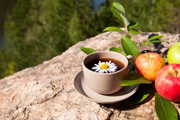 Tea with chamomile and apples on stone — Stock Photo, Image