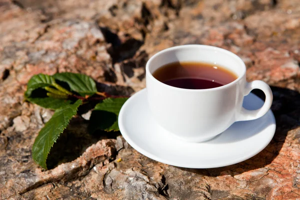 Cup on big stone — Stock Photo, Image