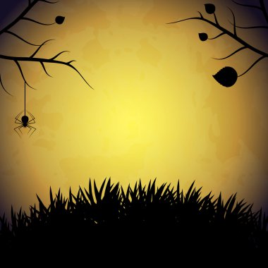 Halloween geçmiş örümcek ile.