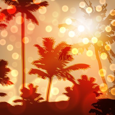 ada ve palmiye ağaçlarıyla deniz günbatımı