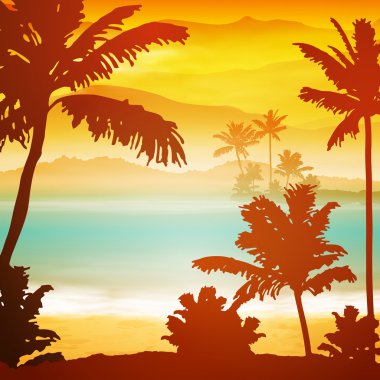 ada ve palmiye ağaçlarıyla deniz günbatımı