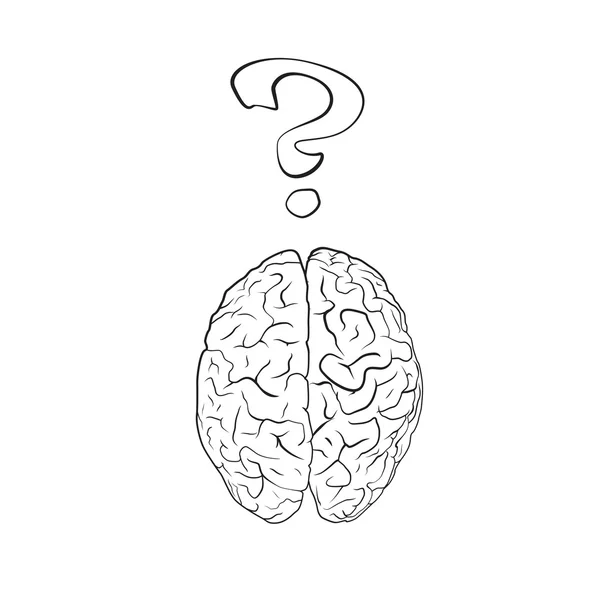Soru işareti ile beyin — Stok Vektör