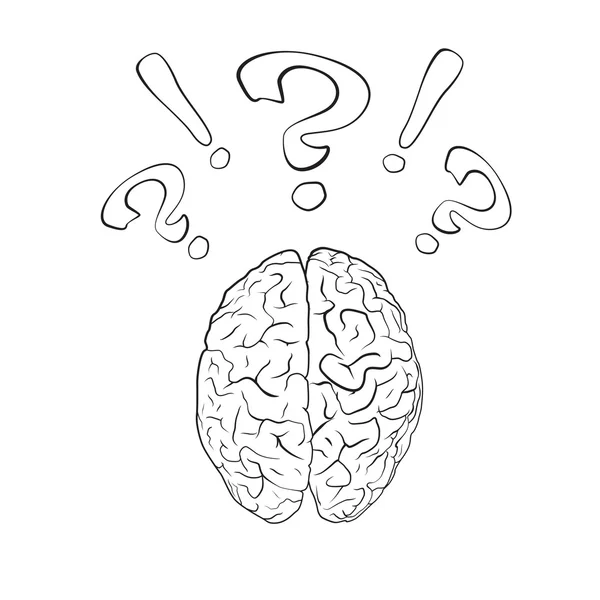 Soru işareti ve ünlem işareti ile beyin — Stok Vektör
