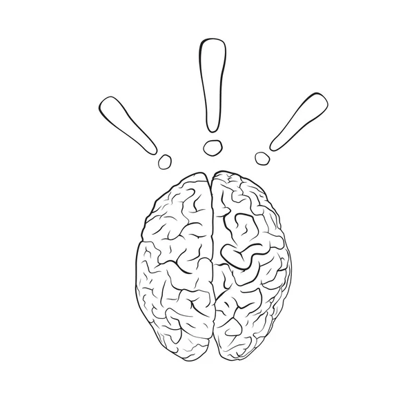 Cerebro con signo de exclamación — Archivo Imágenes Vectoriales