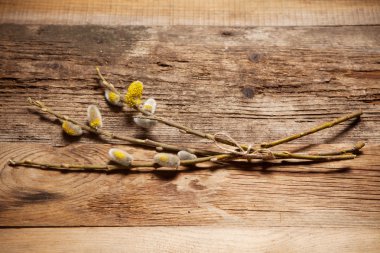 Kukum ahşap arka plan üzerinde