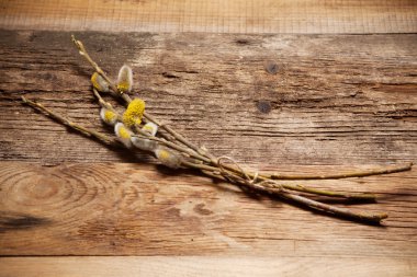 Kukum ahşap arka plan üzerinde