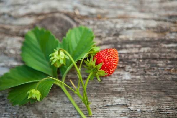 Aardbei op rustieke houten tafel — Stockfoto