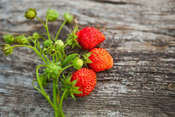 Strawberry on rustic wooden table — Stock Photo, Image