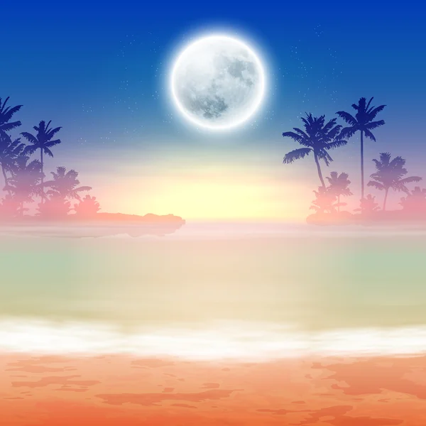 Beach with full moon at night — Stock Vector