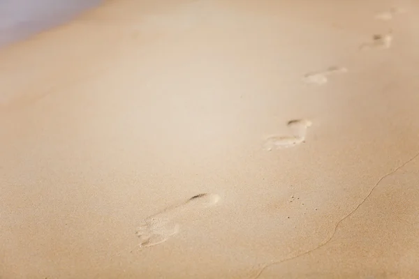 ぬれた砂の中の足跡 — ストック写真