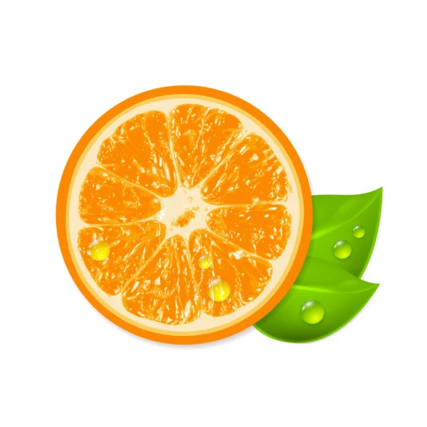 Naranja fresca aislada sobre fondo blanco — Vector de stock