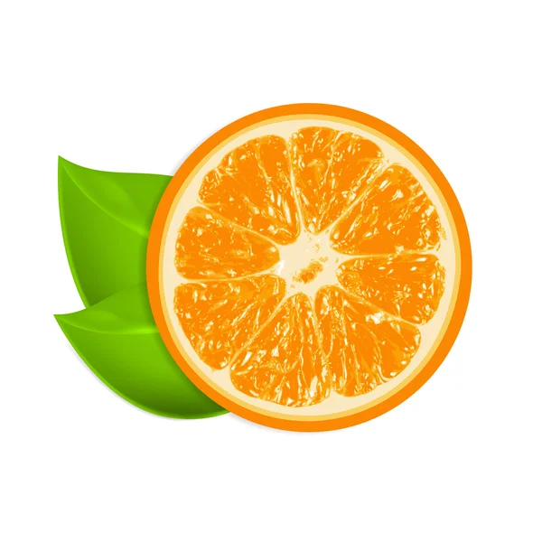 Laranja fresca isolada sobre fundo branco — Vetor de Stock