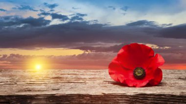 Anma Günü için haşhaş tokası. Haşhaş çiçeği eski güzel yüksek tahılda, ayrıntılı ahşap arka planda günbatımı gökyüzü. Unutmayalım diye Hatırlatma Günü.