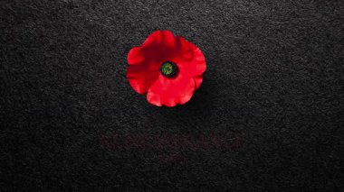 Siyah desenli arka planda gelincik çiçekli Anma Günü yazıları. Anma Günü için dekoratif çiçek. Anma Günü. Gaziler Günü.