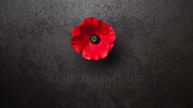 Anma Günü 'nde paslı demir zemin üzerinde Haşhaş çiçeğiyle yazıyı unuturuz. Anma Günü için dekoratif çiçek. Anma Günü. Gaziler Günü.