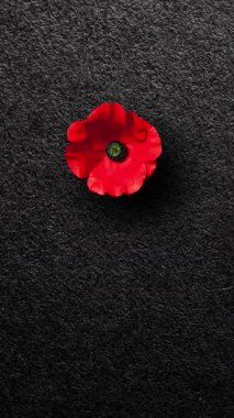 Anma Günü Siyah desenli arka planda Haşhaş çiçekli yazıyı unutmayalım diye. Anma Günü için dekoratif çiçek. Gaziler Günü. Sosyal medya ve hikayeler için dikey video.