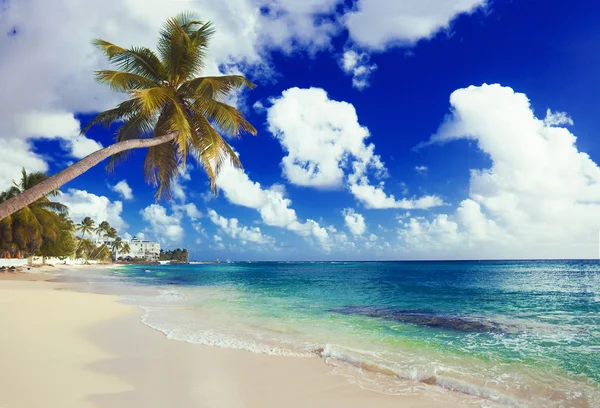 Vacation on a seashore of perfect tropical island — Stock Photo, Image