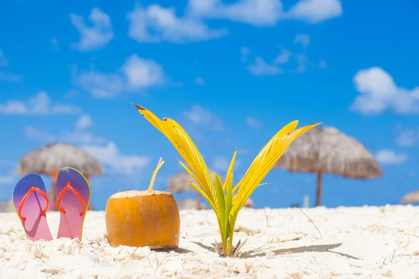 Bild av färsk kokos cocktail och röda flip flops på tropisk strand nära små palm tree — Stockfoto