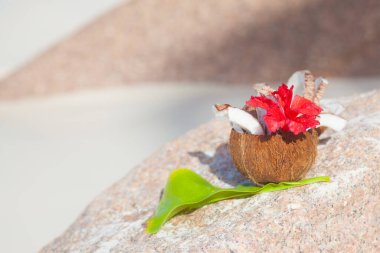 Taze yeşil hindistan cevizli egzotik bir yaz kokteyli ve tropikal arka planda renkli bir çiçek.