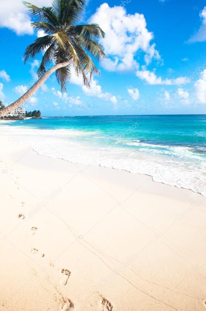 Landscape photo of tranquil beach with footprints in Barbados