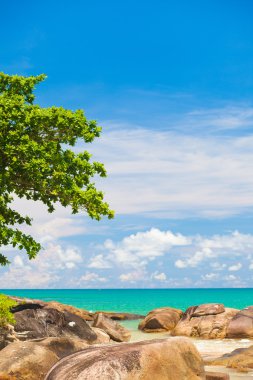 Güzel tropikal deniz manzarası egzotik Thailnad