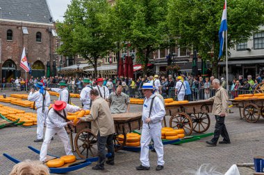ALKMAAR, NETHERLANDS - 18 Mayıs 2018: Malları barındıran Peynir Pazarı