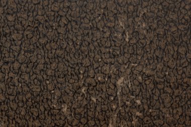 eski kitaplar doku kapakları