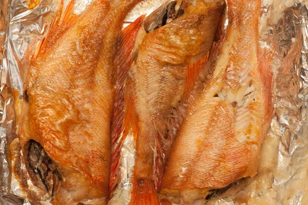 Pargo rojo asado — Foto de Stock