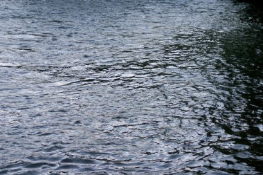 su dalgalanan ile kaplı