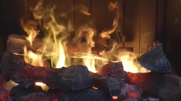 Die Flammen im Kamin — Stockvideo
