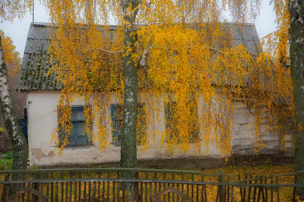 Starý dům se třemi okny — Stock fotografie