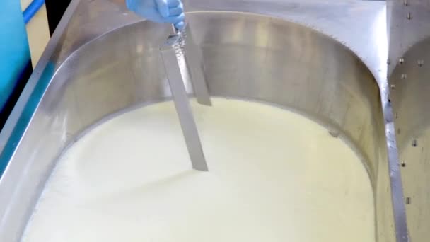 Виробництва сиру — стокове відео