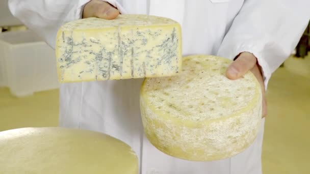 Производство сыра — стоковое видео