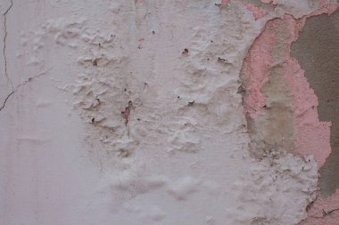 pembe, kırık boya eski duvar ev harap