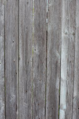 yıkılan ağacı zaman doku