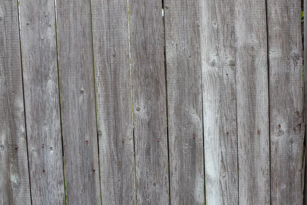 yıkılan ağacı zaman doku